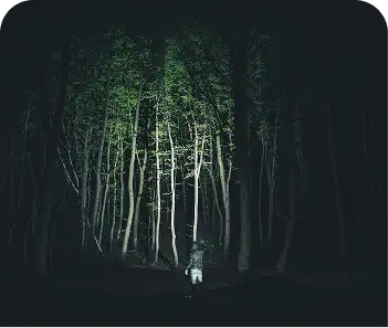 Lampu Patroli Hutan